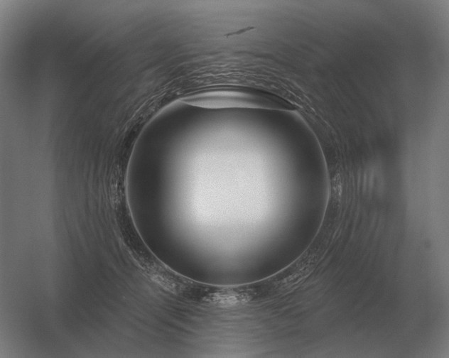 X0000056370464200509021819