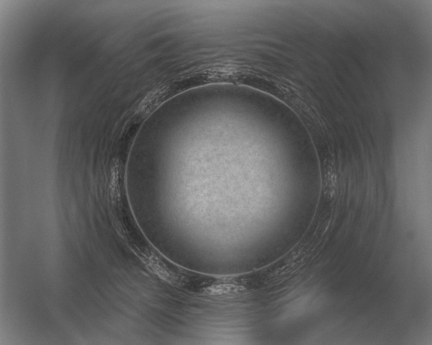 X0000056370468200509021819