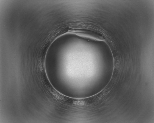 X0000056370469200509021819