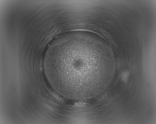 X0000056370470200509021819