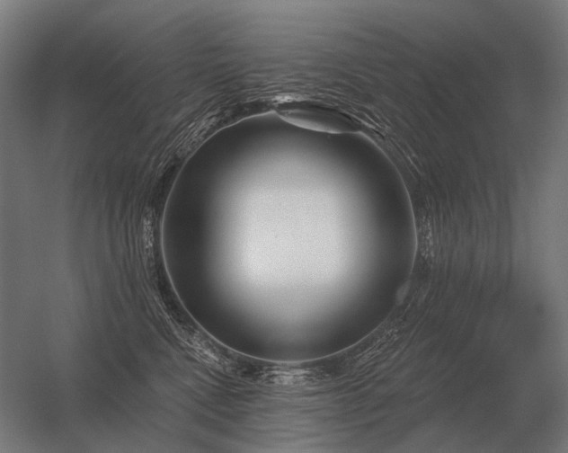 X0000056370472200509021819