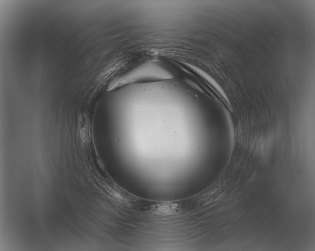 X0000056370474200509021819