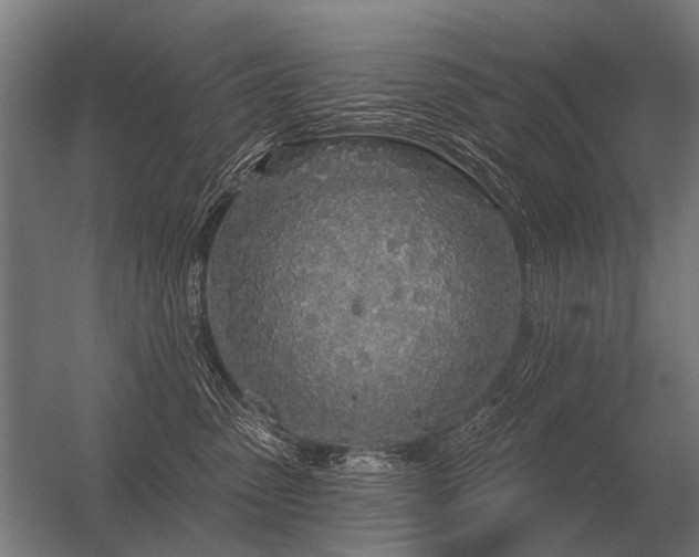 X0000056370475200509021819