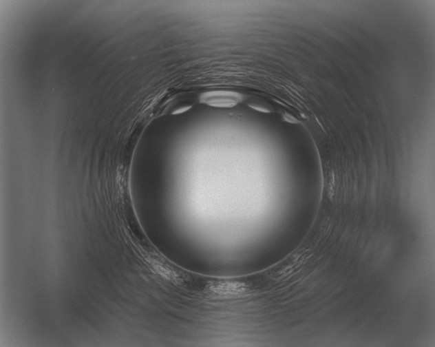 X0000056370476200509021819