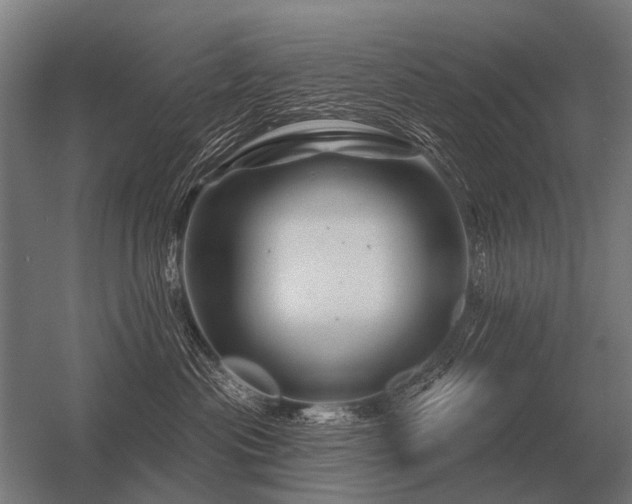 X0000056370477200509021819