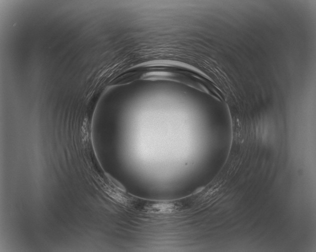 X0000056370478200509021819