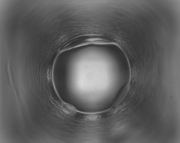 X0000056370479200509021819