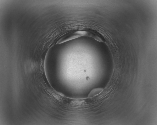 X0000056370480200509021819