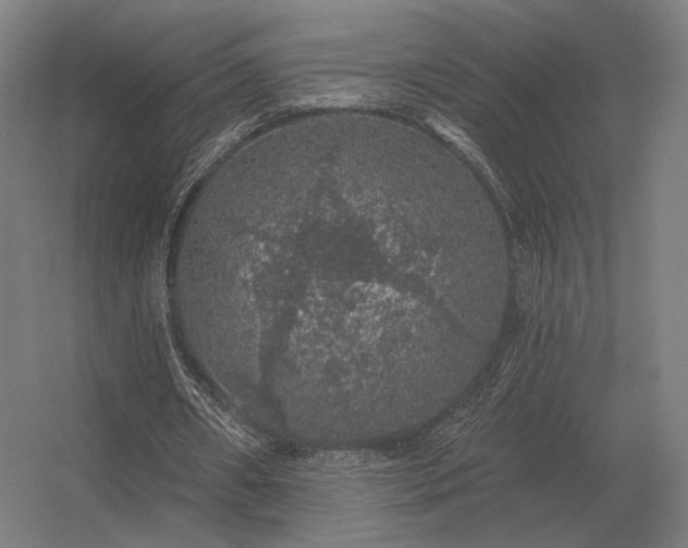 X0000056370482200509021818