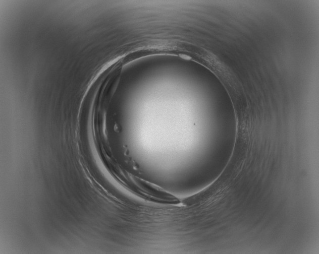 X0000056370484200509021818