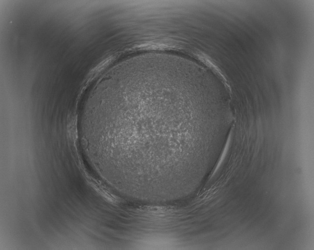 X0000056370486200509021818