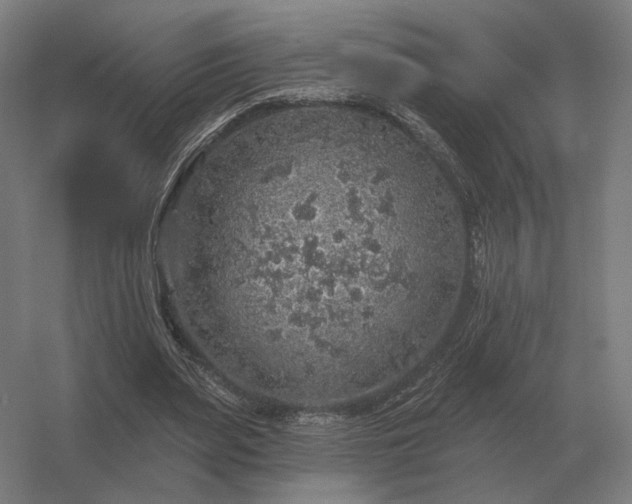 X0000056370487200509021818