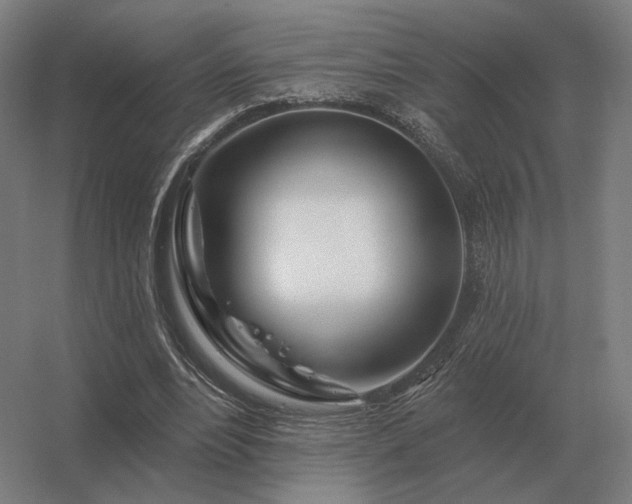 X0000056370488200509021818