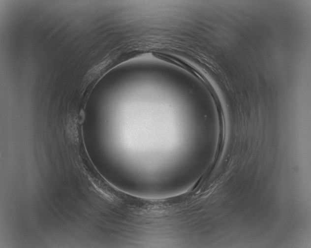 X0000056370489200509021818