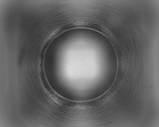 X0000056370490200509021818