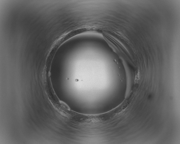 X0000056370492200509021818