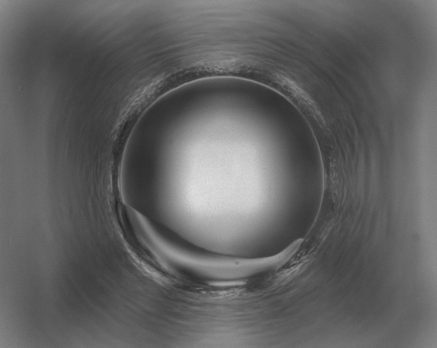 X0000056370493200509021818