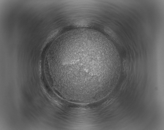 X0000056370494200509021818