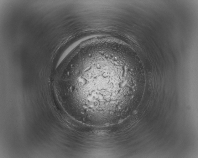 X0000056370495200509021818