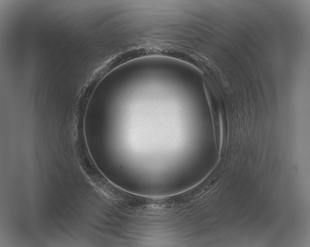 X0000056370496200509021818