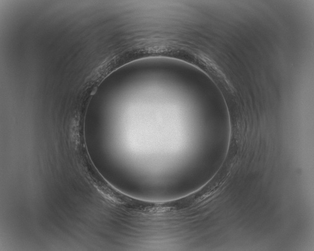 X0000056370497200509021818