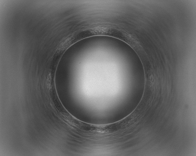 X0000056370498200509021818