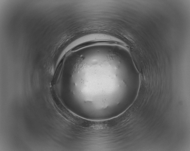 X0000056370499200509021818