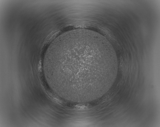 X0000056370502200509021818