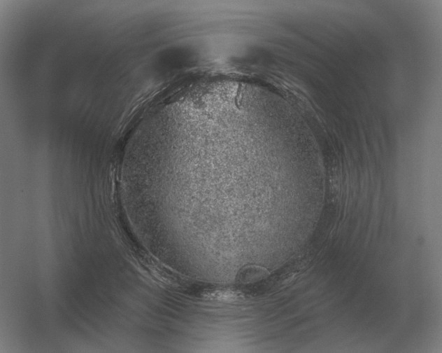 X0000056370503200509021818