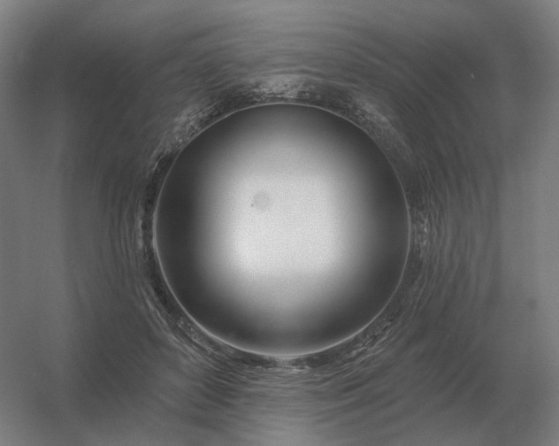 X0000056370504200509021818