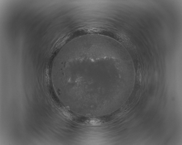 X0000056370506200509021818