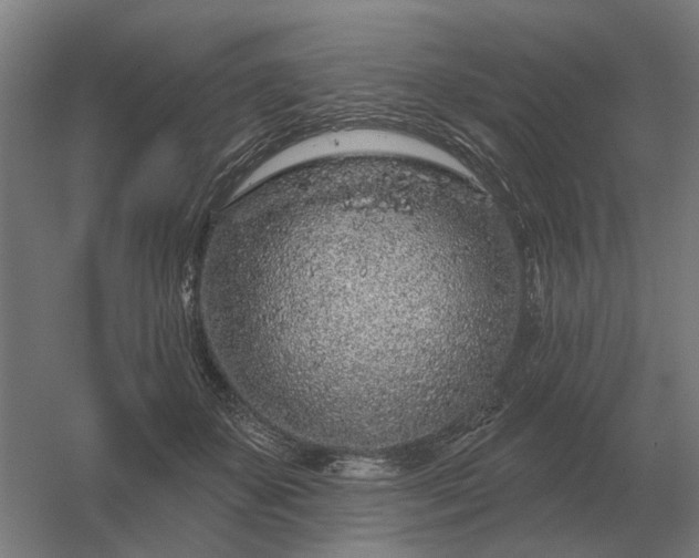 X0000056370507200509021818