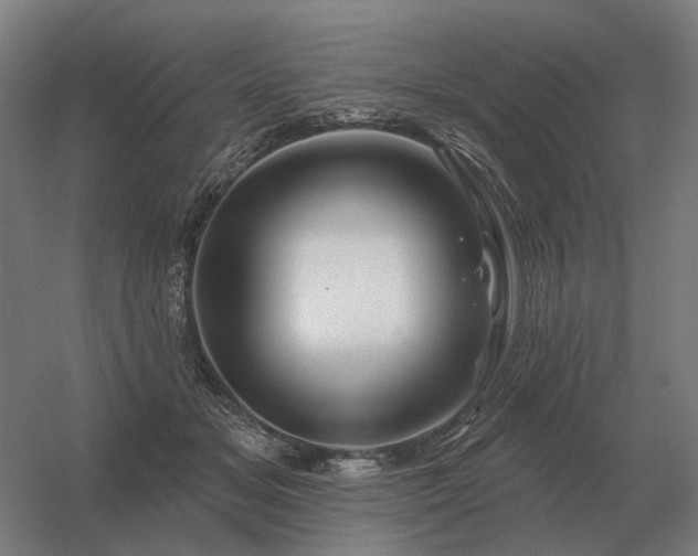 X0000056370509200509021818