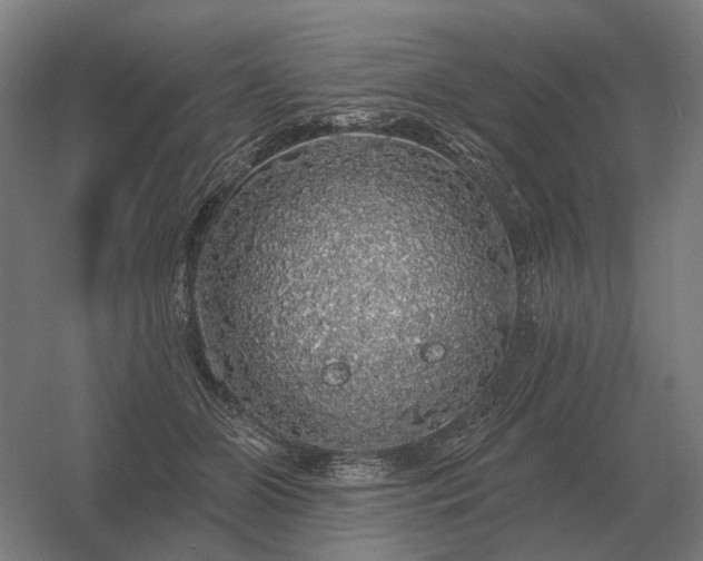 X0000056370510200509021818