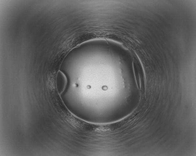 X0000056370515200509021818