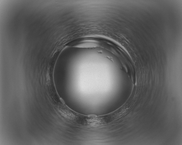 X0000056370516200509021818