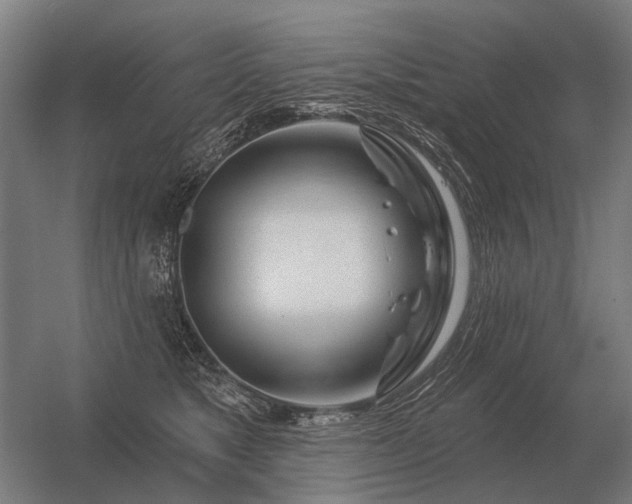 X0000056370517200509021818