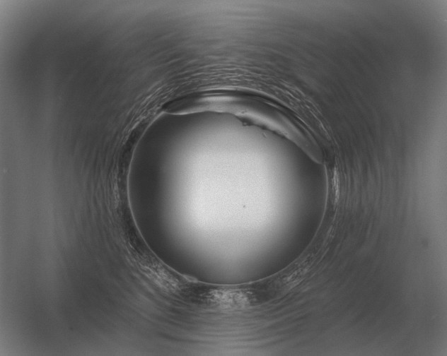 X0000056370520200509021817