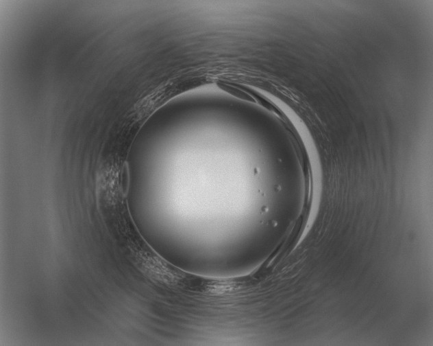 X0000056370521200509021817