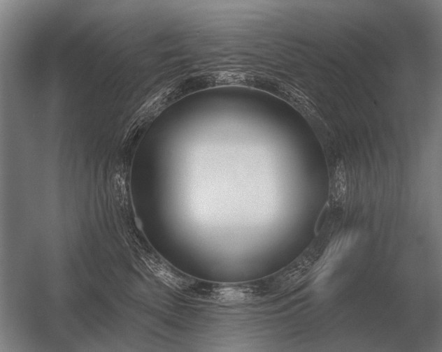 X0000056370522200509021817