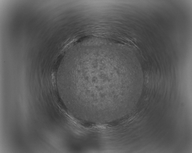 X0000056370523200509021817