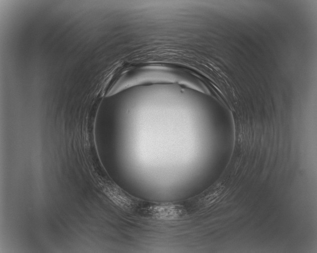 X0000056370524200509021817