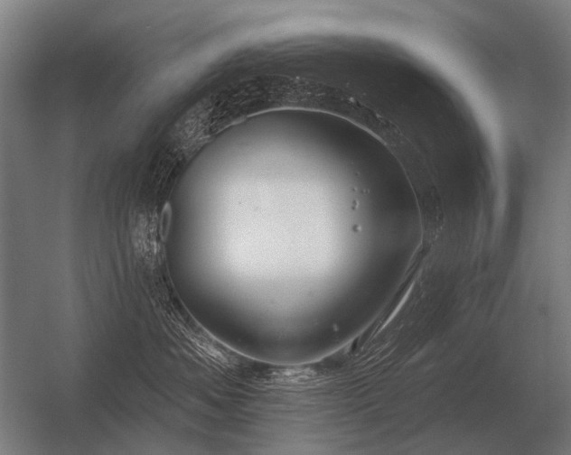 X0000056370525200509021817