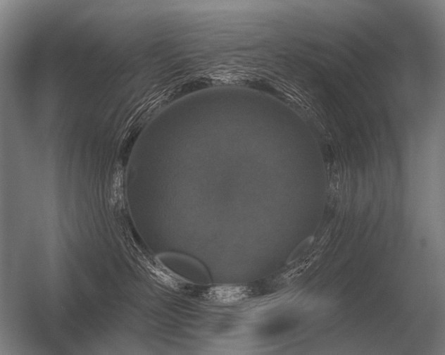 X0000056370526200509021817