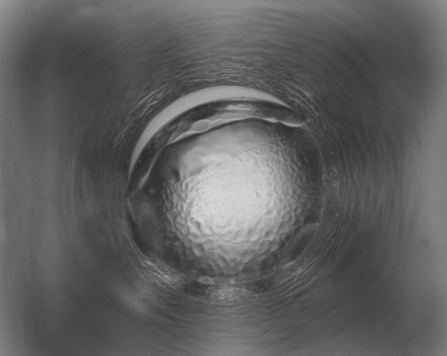 X0000056370527200509021817