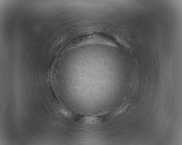 X0000056370528200509021817