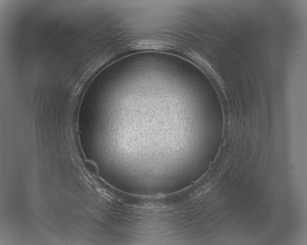 X0000056370529200509021817