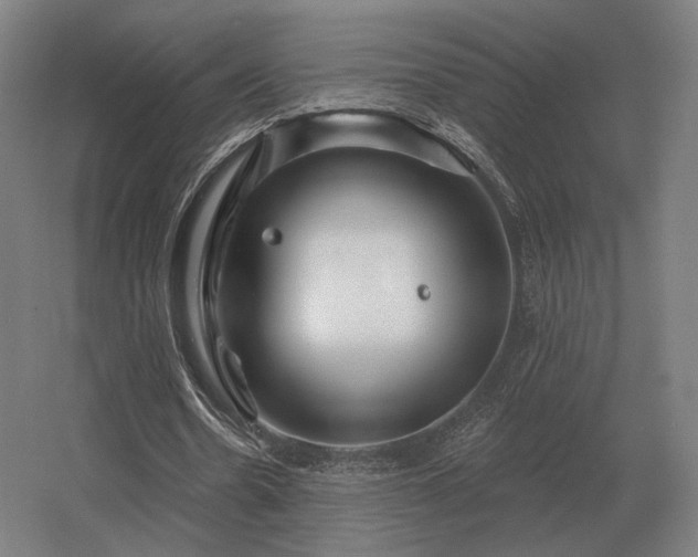 X0000056370530200509021817