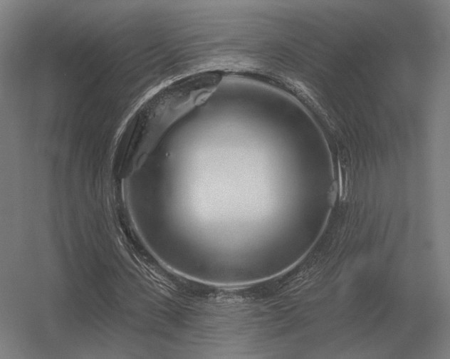 X0000056370531200509021817