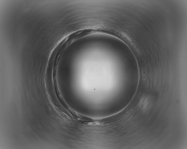 X0000056370532200509021817